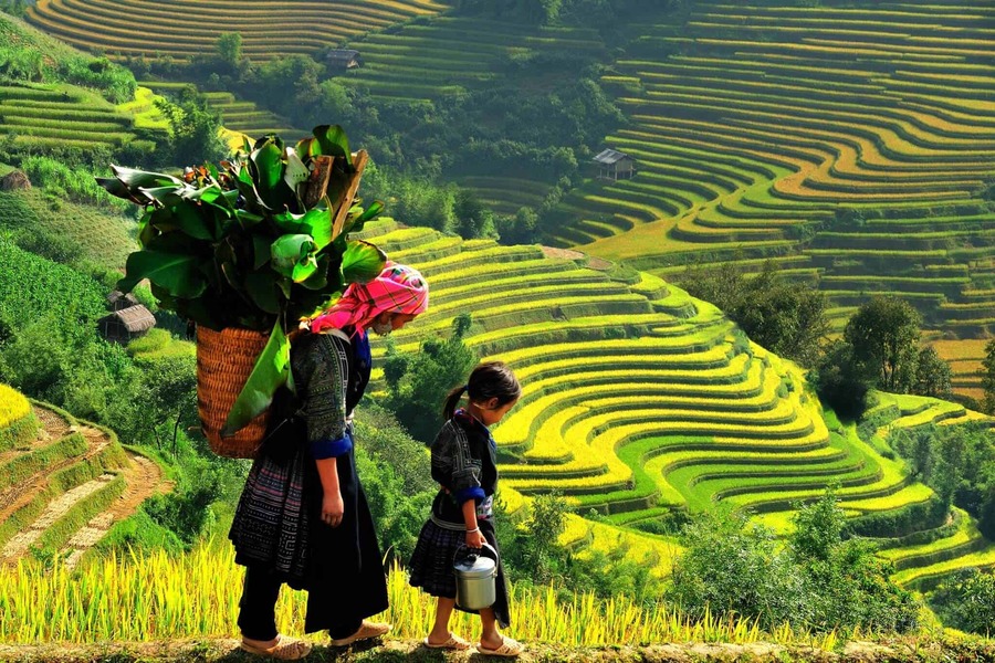 5 days vietnam tours discover sapa