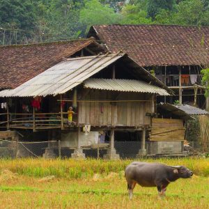 Pac Ngoi Village, Tour to Vietnam
