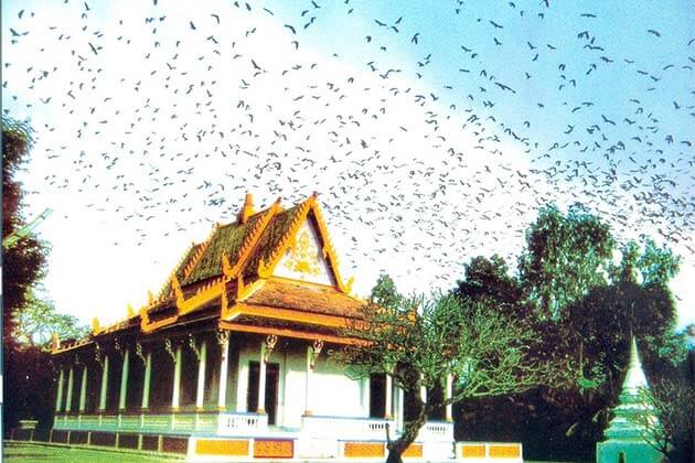 Bat Pagoda (Mahatup Pagoda), Vietnam holidays