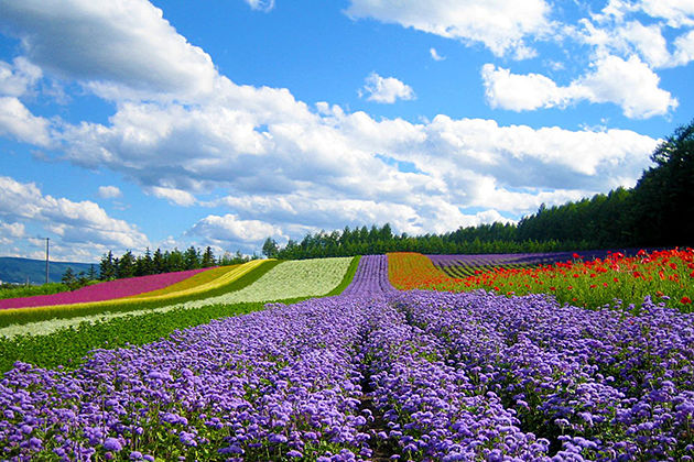 best time to visit vietnam from august to december