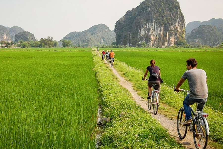 Bicycle tour - The Best Way to Explore Ninh Binh