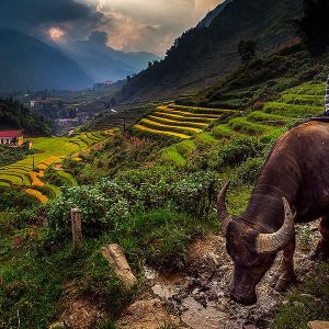 Cat Cat Village, Vietnam adventure tour