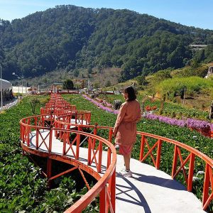 Da Lat Flower Garden, Honeymoon trip in Vietnam