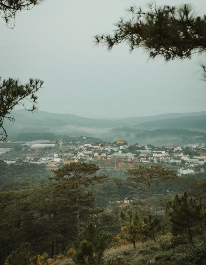 go vietnam tours for a visit to dalat