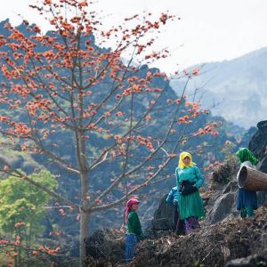 ha giang village, vietnam adventure tour