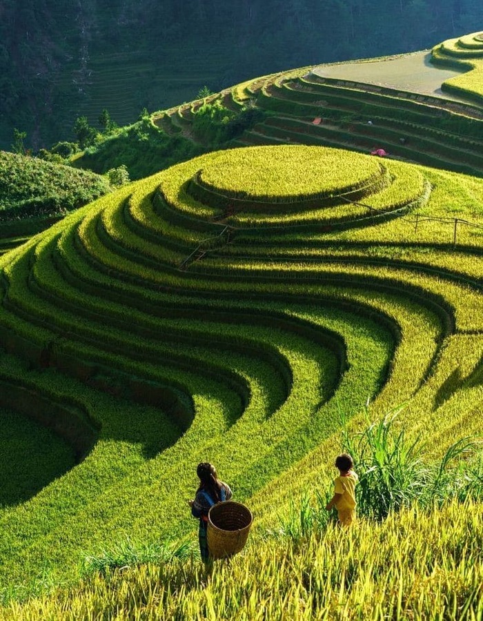 sapa is a hot destination of vietnam travel packages