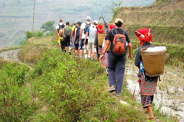 sapa trekking tour go vietnam tours