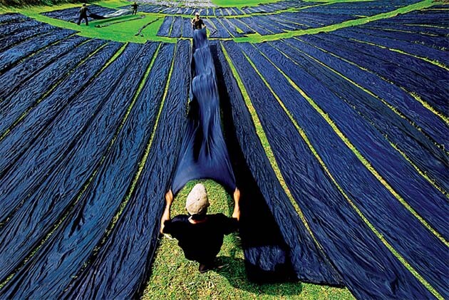 Tan Chau Silk Making Village, Vietnam local tour package