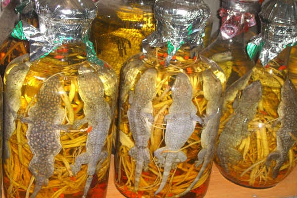 Vietnam’s weirdest drinks