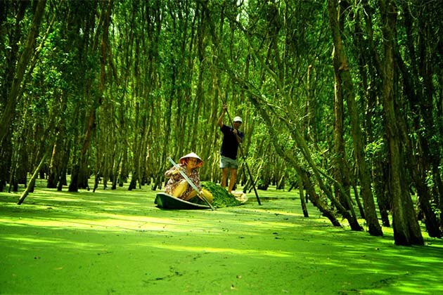 Tra Su Cajuput Forest, Vietnam tours