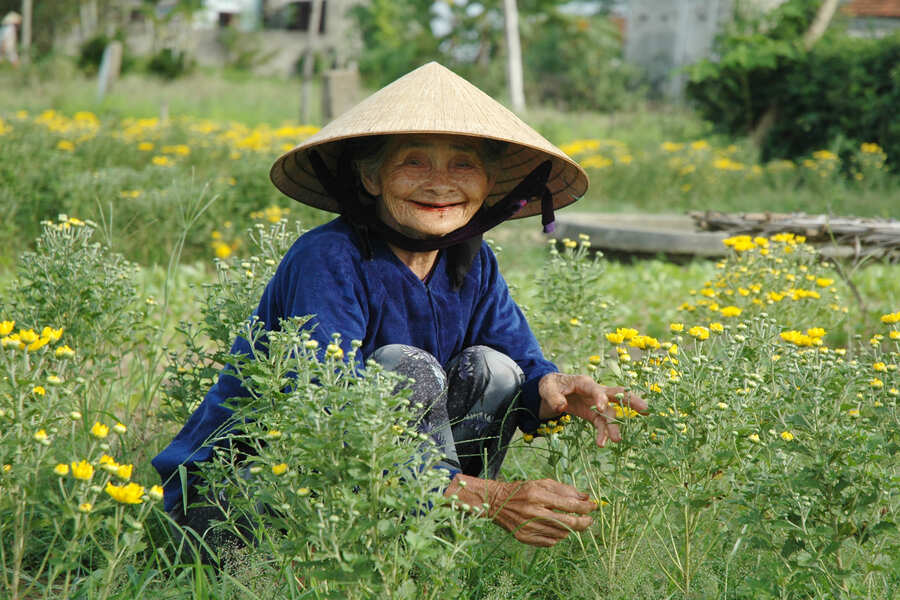 Vietnam Travel Tips you should know