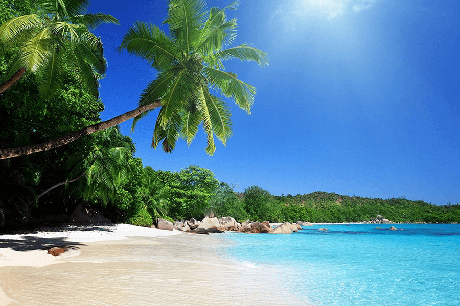 Vietnam Beaches, Trips in Vietnam